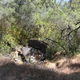 Illustration for article titled Toby Hike Day: Wellbarn Road to San Joaquin River Trail